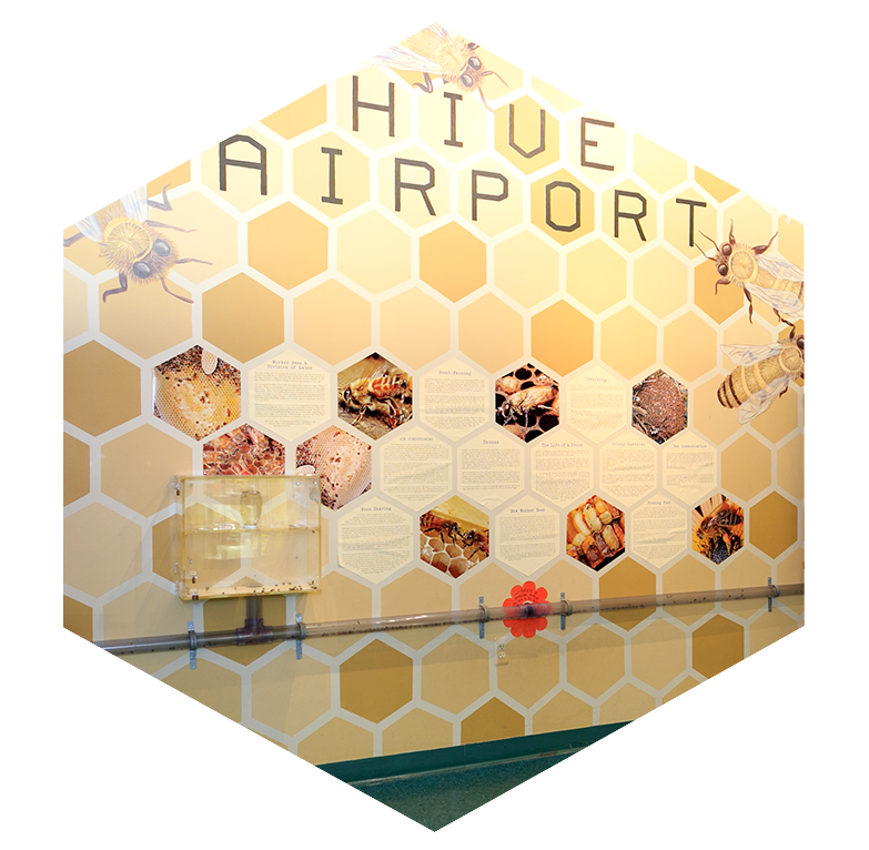 Insectropolis-Hive-Airport