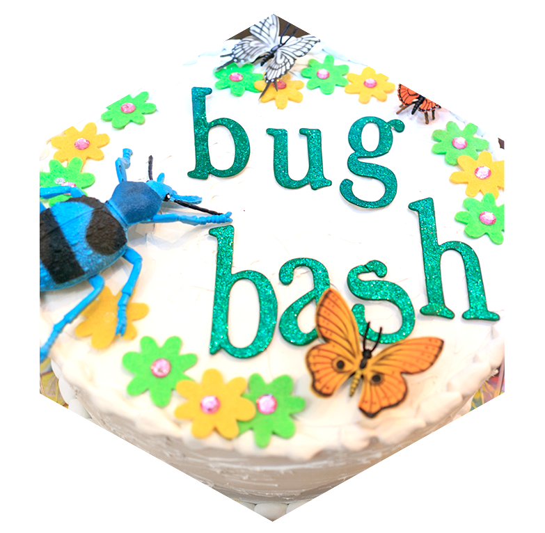 insectropolis-bug-bash-border