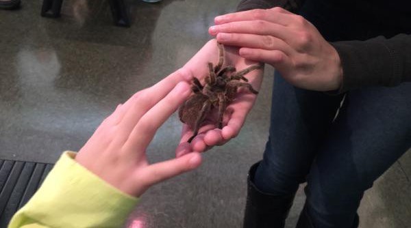 Touch presentation available at Insectropolis in Toms River NJ